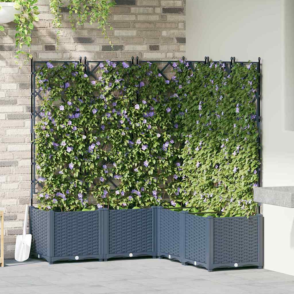 Aia Istmik Trellisega 5 tk Hall 120x120x143 cm