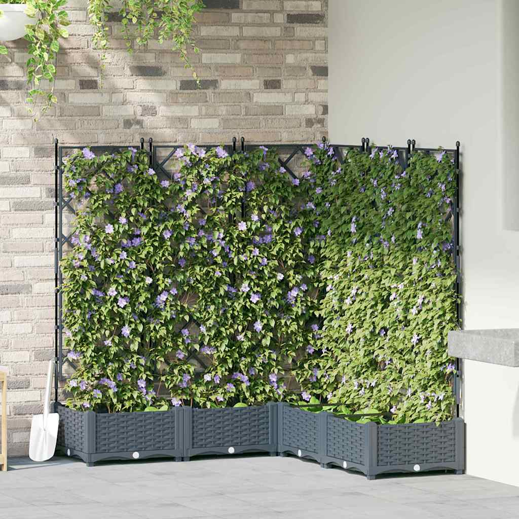 Haveplantekasse med Trellis 5 stk Lysegrå 120x120x125.5 cm