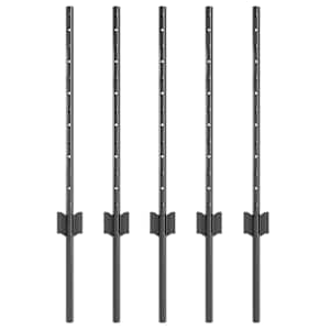 vidaXL Maatrikse posti 5 tk Hall 100 cm Pulberv&auml;rvitud teras