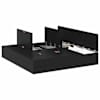 Black_oak