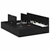Black_oak