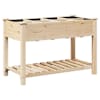 vidaXL Aia istutuspot Beež 115 x 59 x 76,5 cm Tugev kuusepuit