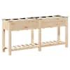 vidaXL Aia istutuspot Beež 161,5 x 45 x 76,5 cm Tugev kuusepuit