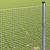 Toote pisipilt  4 / 9