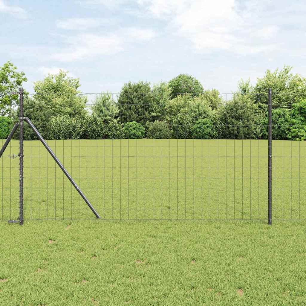 Euro hegn Grå 1.2x25 m Stål