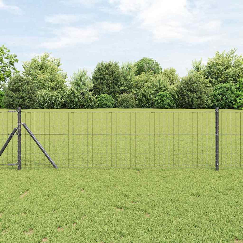 Euro Hegn Grå 0.6x50 m Stål