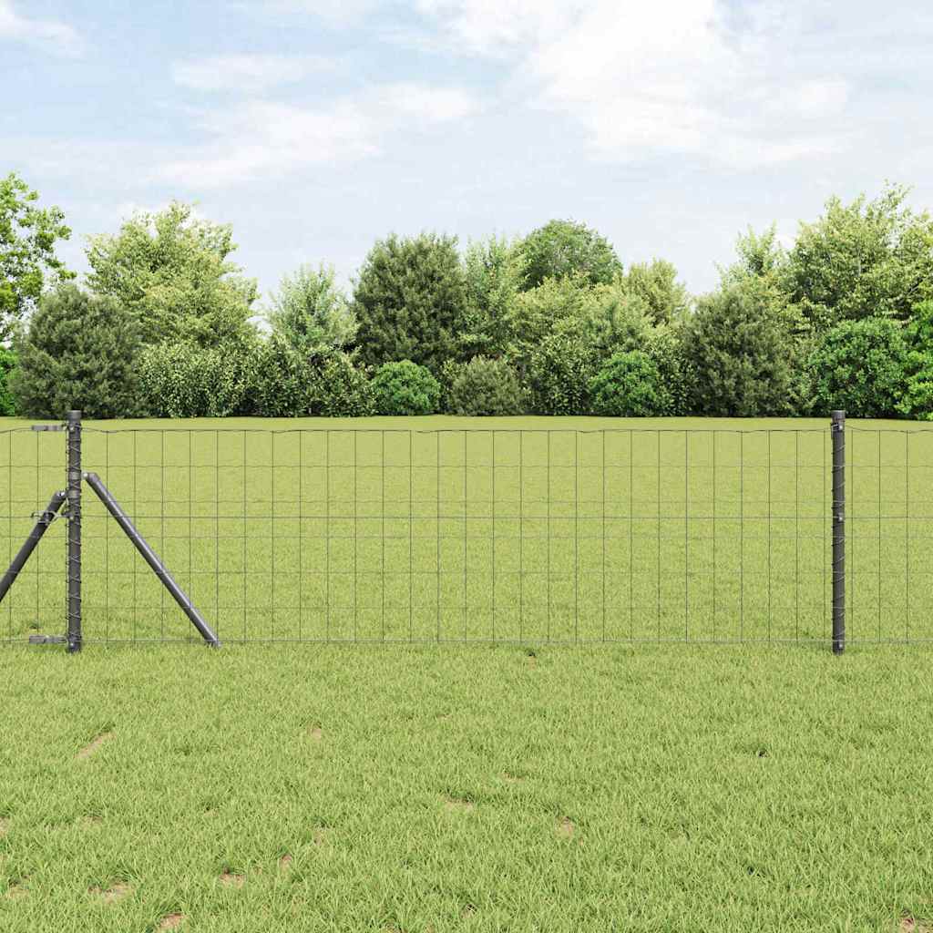 Euro Hegn Grå 0.6x50 m Stål