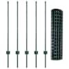 Toote pisipilt  6 / 14