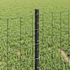 Toote pisipilt  4 / 13