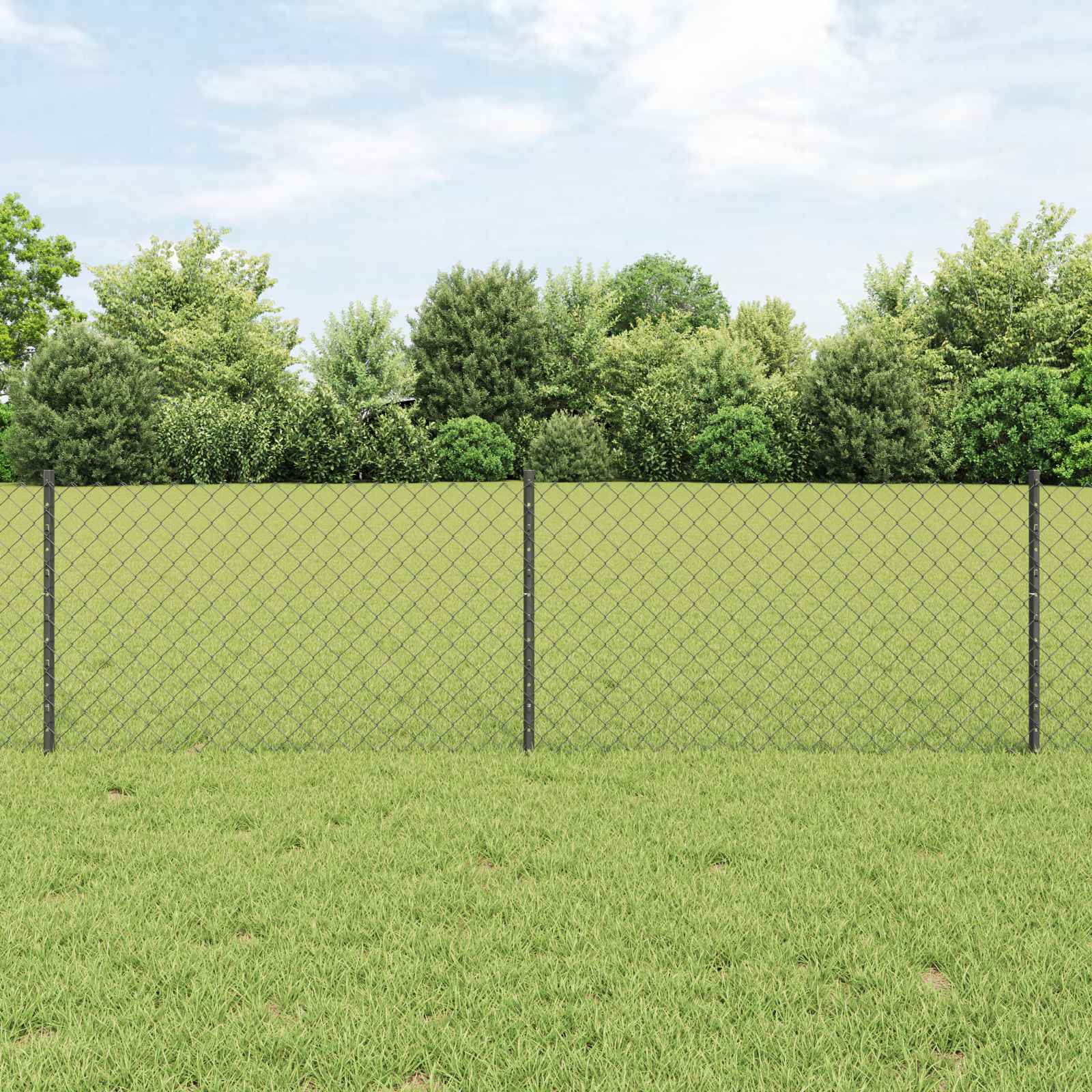 vidaXL Ketjuaidalla varustettu aita 10 x 0,6 m PVC-pinnoitettu teräs