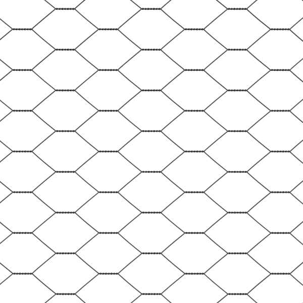 Toote pisipilt  9 / 14