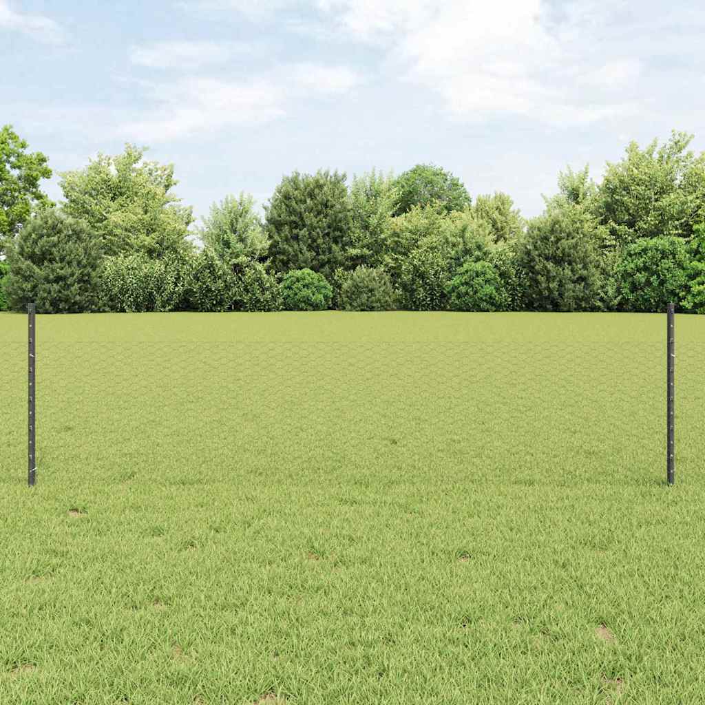 Aia postid 11 tk U-kanal Hall 60 cm Teras, vidaXL Kuusnurga aed Hall 0.5x50 m Teras