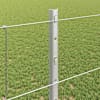 Toote pisipilt  4 / 14