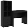 Black_oak