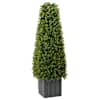 vidaXL Eukal&uuml;pti Muru Torn Roheline 27 x 27 x 90 cm Plastmass