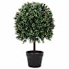 vidaXL P&ouml;&ouml;kpall Roheline 35 x 35 x 50 cm Plastmass