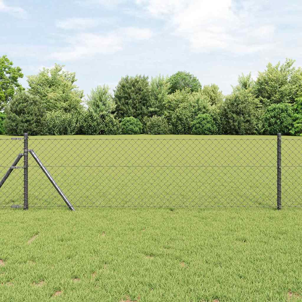 kæde-link hegn Grå 0.6x10 m stål