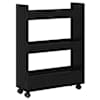 Black_oak