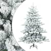 White_and_green