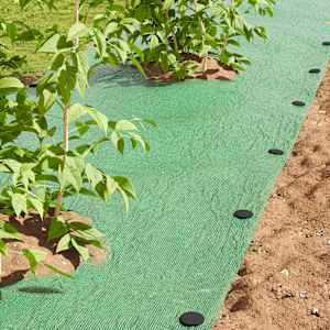 Zemeljski koliki 500 pcs Črna Ø3 x 11 cm Plastika