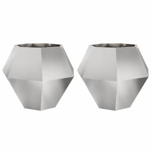 Truhlík 2 pcs Stříbrná 100 x 100 x 80 cm Nerezová ocel - obrázek 2