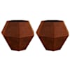 vidaXL Taimekast 2 tk Rooste 100 x 100 x 80 cm Ilmastikukindel teras