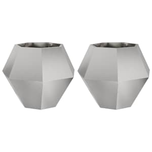 Truhlík 2 pcs Stříbrná 75 x 75 x 60 cm Nerezová ocel - obrázek 2