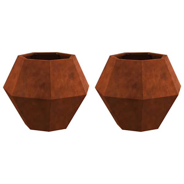 vidaXL Taimekast 2 tk Rooste 50 x 50 x 40 cm Ilmastikukindel teras