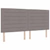 Toote pisipilt  6 / 13