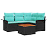 Black_and_turquoise