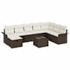 Brown_and_white