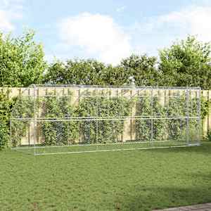 Pasja lopa 3 pcs srebrna 6 x 2 x 2 m Pocinkano jeklo