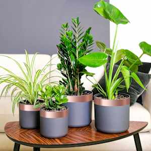 Bakov trak Baker 2000 x 5 cm Baker