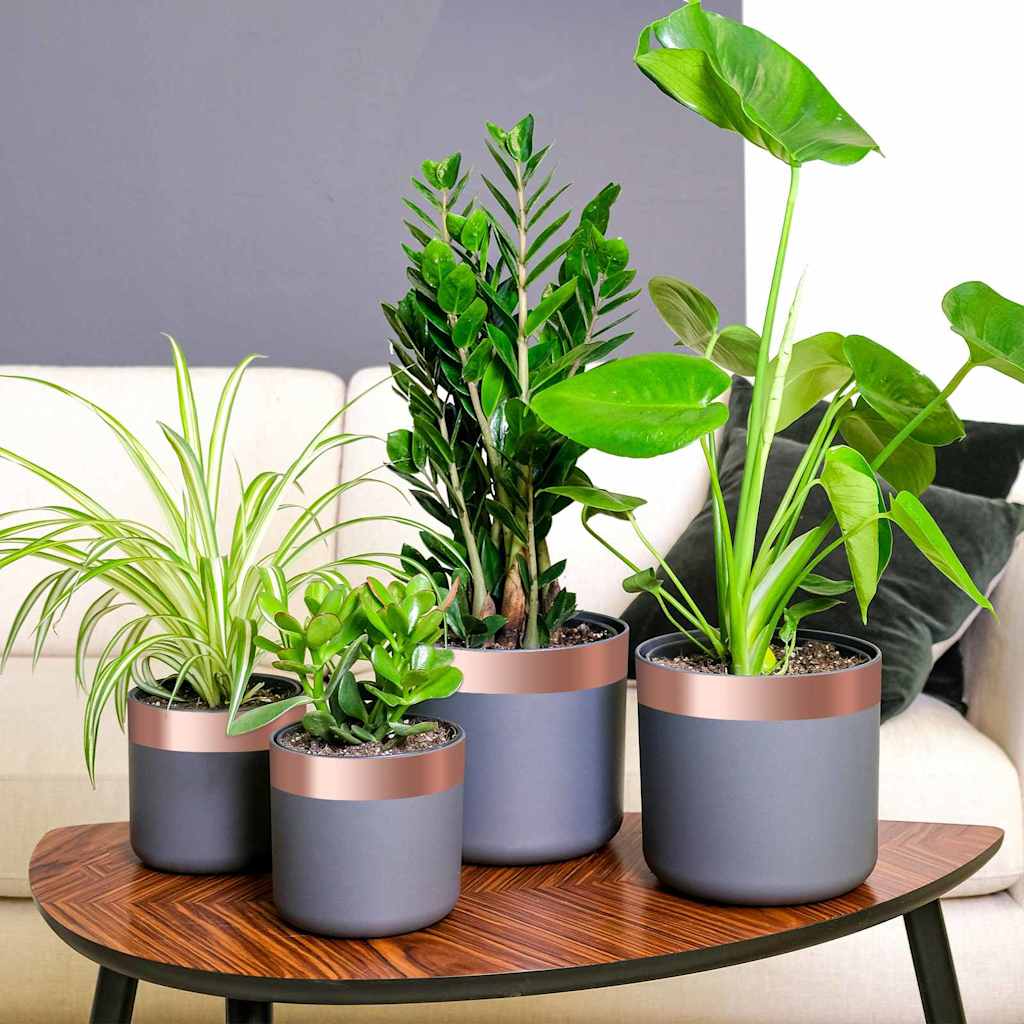 vidaXL Bandă din cupru dublă față 6 pcs Cupru 2000 x 5 cm Cupru