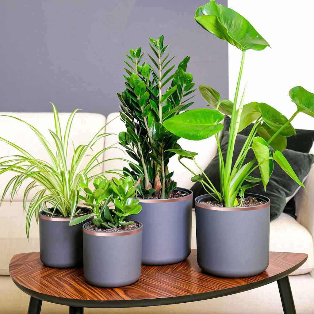 vidaXL Bandă din cupru dublă față 6 pcs Cupru 2000 x 1 cm Cupru