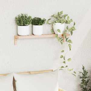 Stenski viseči stojalo Naravna 62 x 10 x 12,5 cm