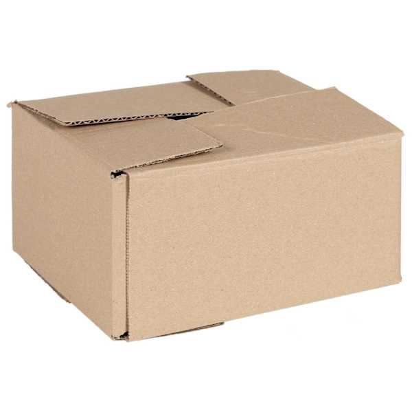 vidaXL Kokkuklapitav kast 50 tk Neutraalne 20 x 15 x 10 cm Papp