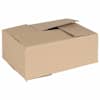 vidaXL Kokkuklapitav kast 50 tk Neutraalne 25 x 17,5 x 10 cm Papp