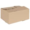 vidaXL Kokkuklapitav kast 50 tk Neutraalne 30 x 21,5 x 14 cm Papp