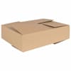 vidaXL Kokkuklapitav kast 50 tk Neutraalne 40 x 30 x 10 cm Papp