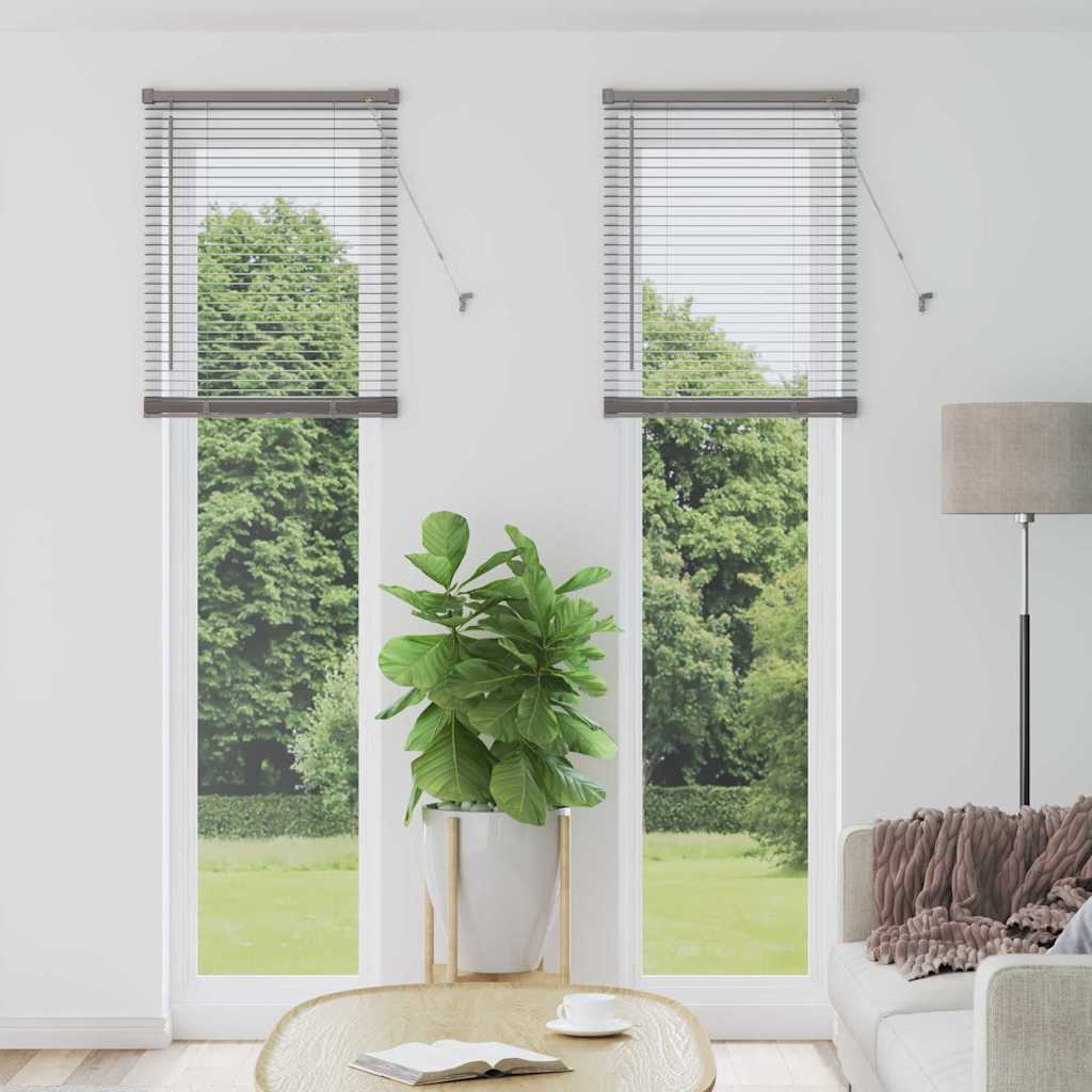 Raam Blind met gordijnen Anders Zilver 80 x 130 cm Aluminium