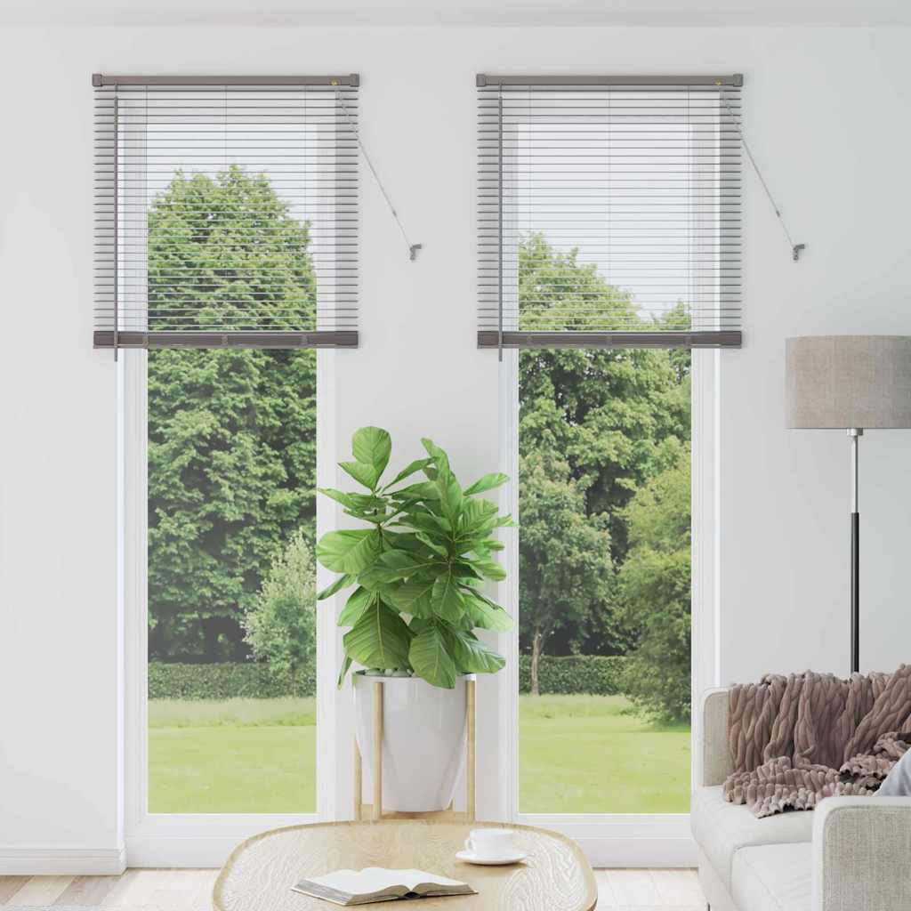 Raam Blind met gordijnen Anders Zilver 80 x 130 cm Aluminium