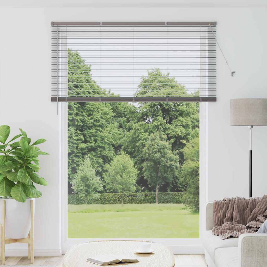 Raam Blind met gordijnen Anders Zilver 155 x 220 cm Aluminium