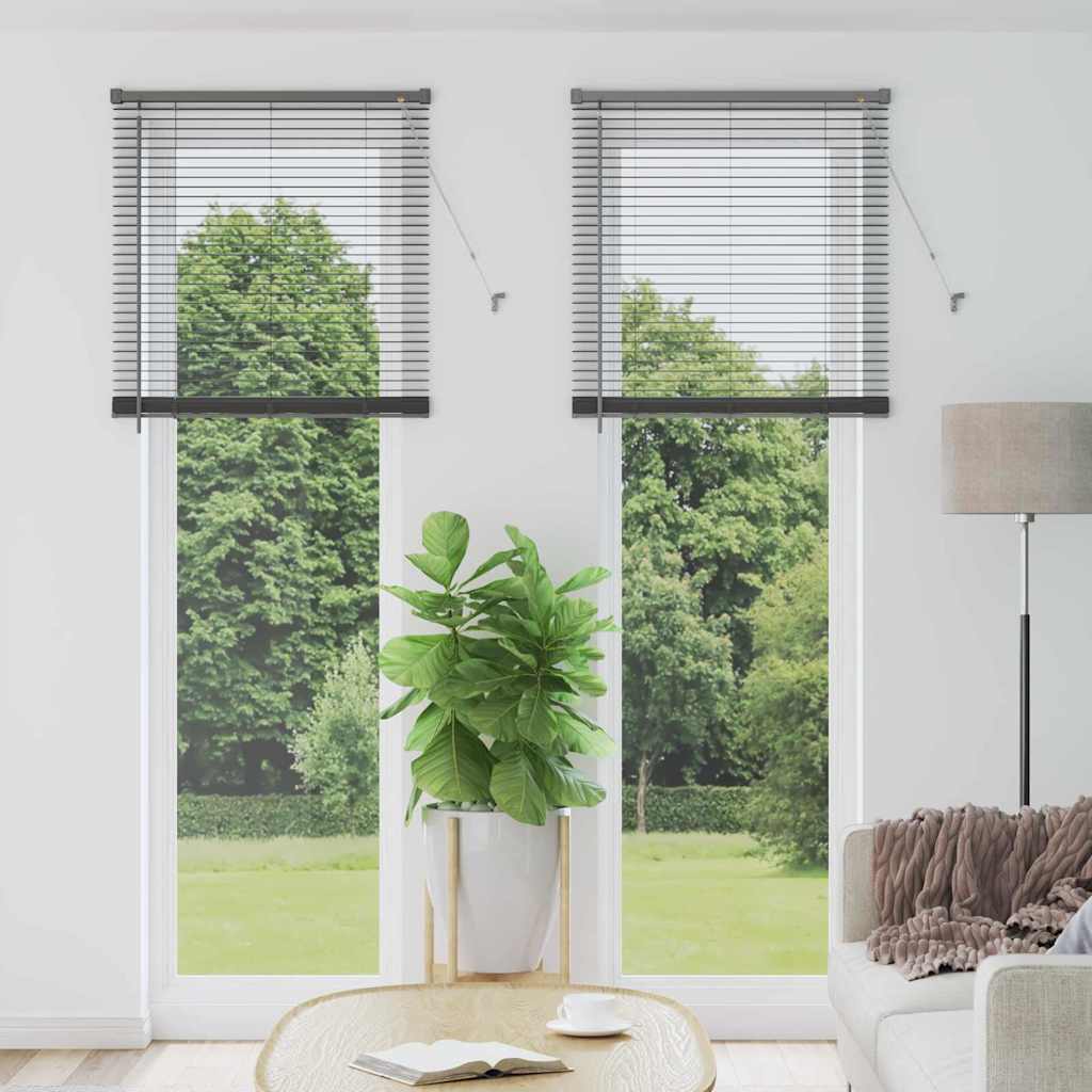 Raam Blind met gordijnen Anders Donkergrijs 80 x 220 cm Aluminium