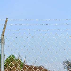 Žica s trnjem srebrna 100 m Cinkana jeklena