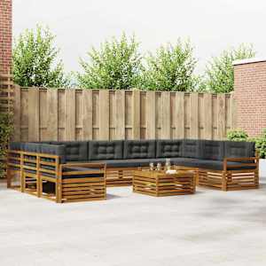 Zunanja garnitura za sedenje 10 pcs Naravna in antracitna