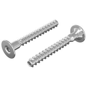 vidaXL Kinnituskruvid 2 tk H&otilde;bedane &Oslash;5 x 40 mm Metall
