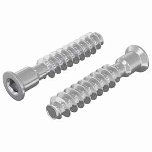 vidaXL Peapael Kruvi 2 tk H&otilde;bedane M7 x 40 mm Teras