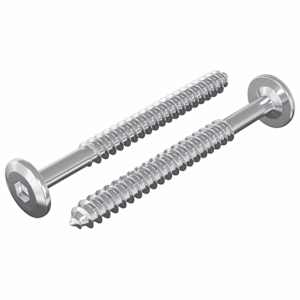 vidaXL Puidust Kruvid 2 tk H&otilde;bedane M6 x 70 mm Teras