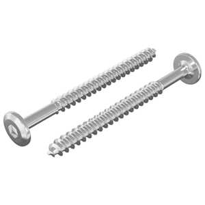vidaXL Puidust Kruvid 2 tk H&otilde;bedane M6 x 70 mm Teras
